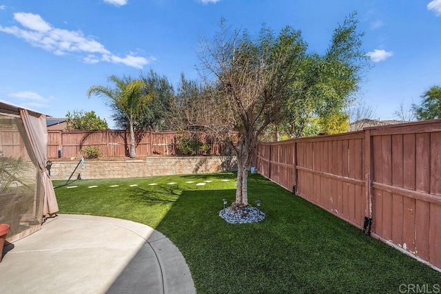 view of yard with a fenced backyard and a patio