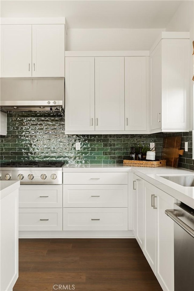kitchen with dark wood-style floors, under cabinet range hood, stainless steel appliances, white cabinets, and decorative backsplash