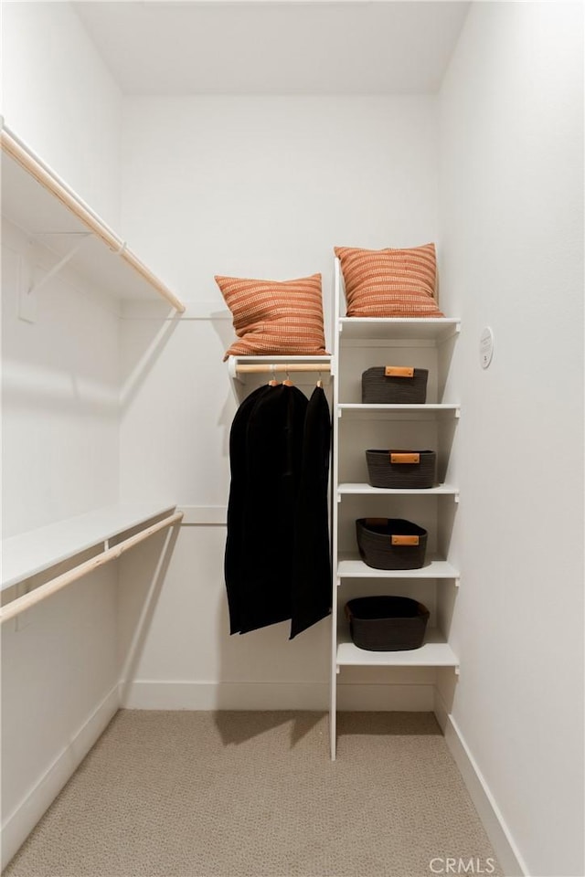walk in closet featuring carpet flooring
