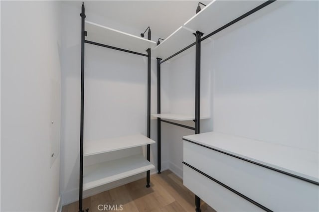 spacious closet with light wood finished floors