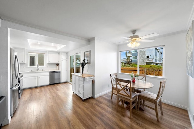 kitchen featuring light wood finished floors, a raised ceiling, appliances with stainless steel finishes, light countertops, and a sink