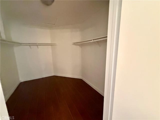 spacious closet with dark wood-style flooring