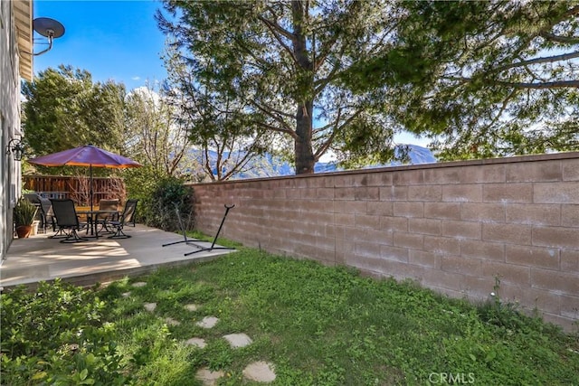 view of yard with a patio area and a fenced backyard