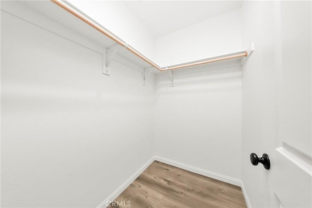 walk in closet featuring light wood-type flooring