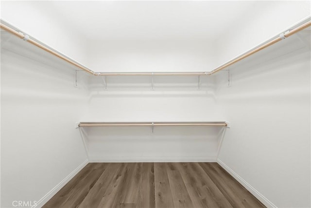 walk in closet featuring wood finished floors