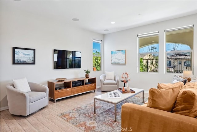 living room with baseboards, a healthy amount of sunlight, and light wood finished floors