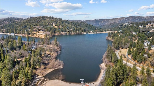 bird's eye view featuring a water view and a forest view