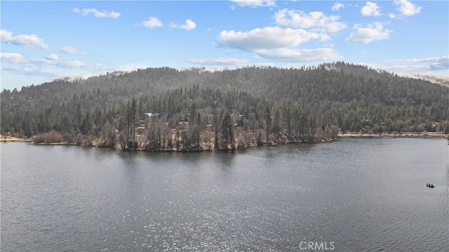 water view featuring a view of trees