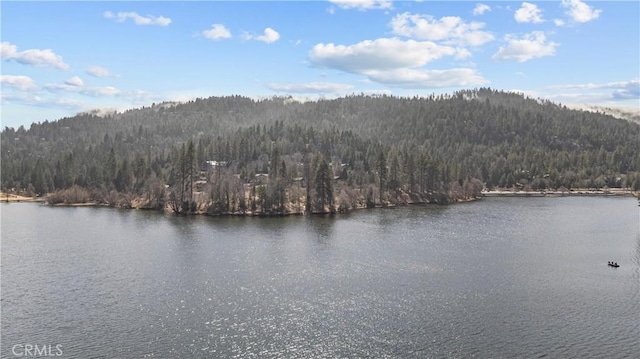 820 Arbula Dr, Crestline, CA 92325 - view of water feature with a forest view