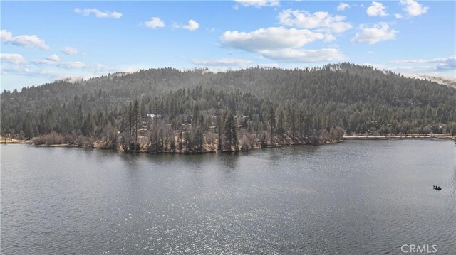 820 Arbula Dr, Crestline, CA 92325 - photo 46