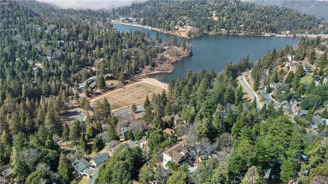 drone / aerial view with a water view and a view of trees