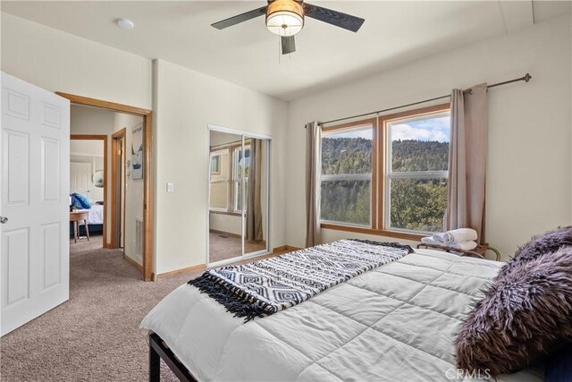 820 Arbula Dr, Crestline, CA 92325 - photo 24