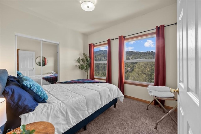 carpeted bedroom featuring multiple windows, baseboards, and a closet