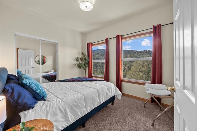 820 Arbula Dr, Crestline, CA 92325 - bedroom with baseboards, carpet flooring, and a closet