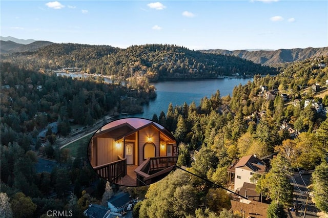 820 Arbula Dr, Crestline, CA 92325 - photo 41