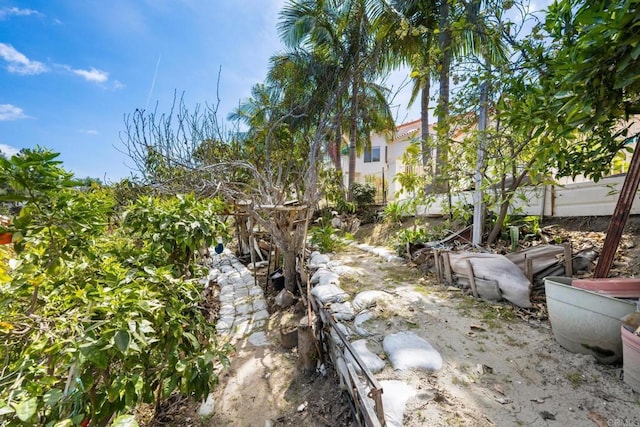 1367 Corona, Bonita, CA 91902 - view of yard