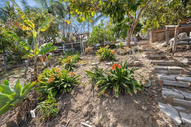 1367 Corona, Bonita, CA 91902 - view of yard