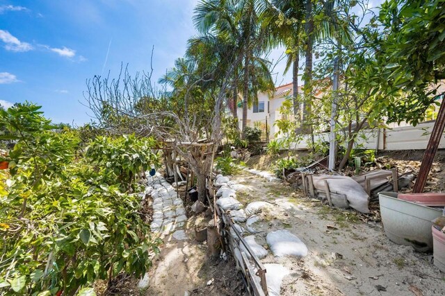 1367 Corona, Bonita, CA 91902 - view of yard