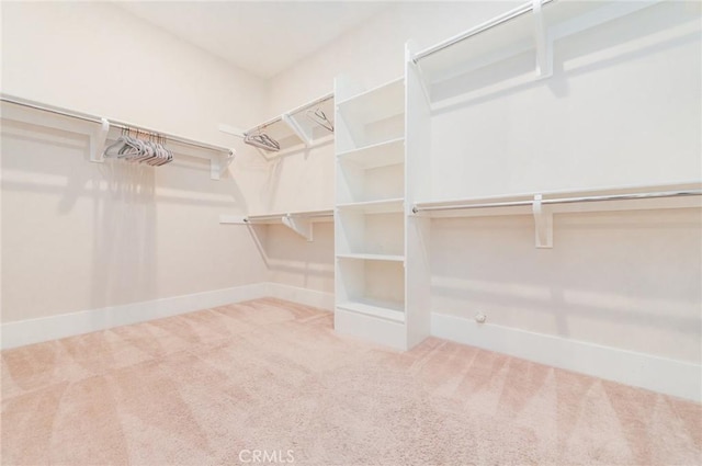 spacious closet with carpet