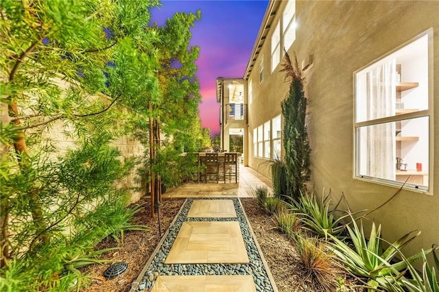 view of yard featuring a patio