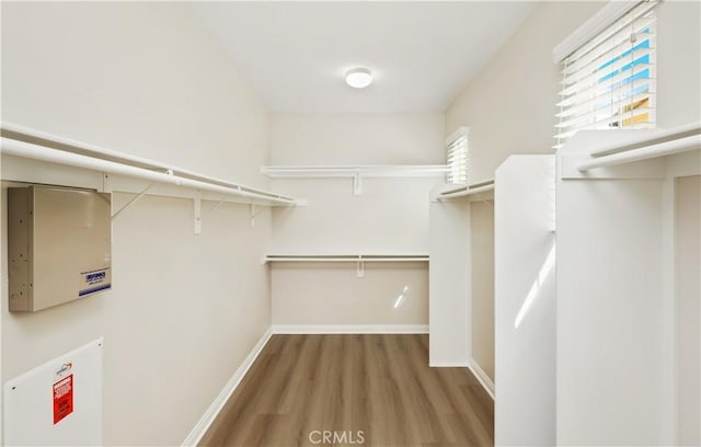 spacious closet featuring wood finished floors