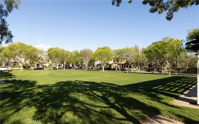view of property's community featuring a lawn