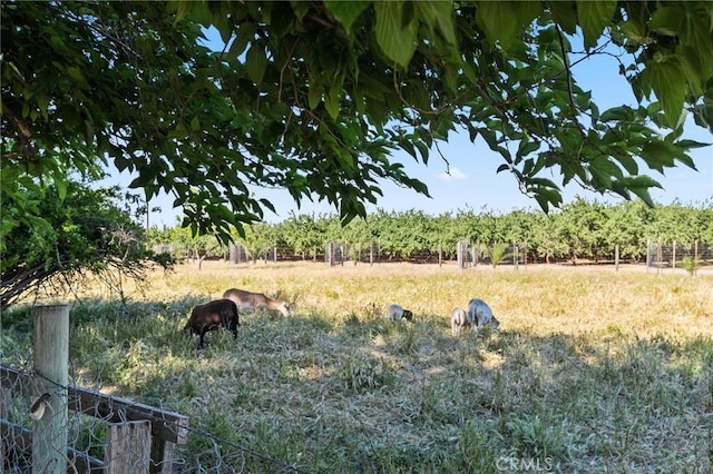 view of local wilderness featuring a rural view