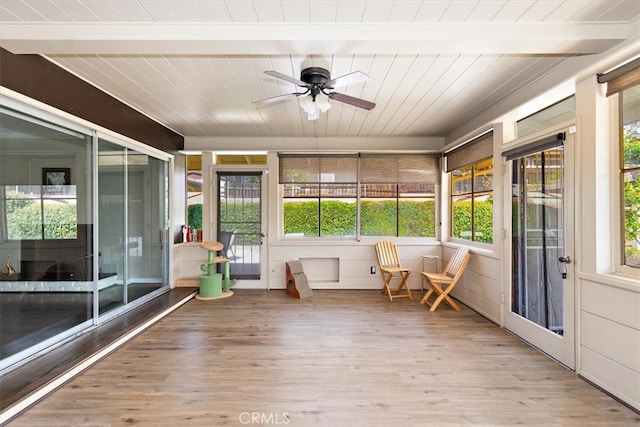 unfurnished sunroom with a ceiling fan, wooden ceiling, and beamed ceiling