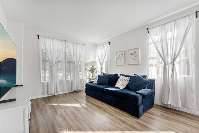 living room featuring wood finished floors