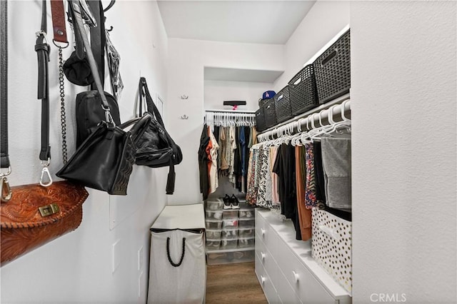 spacious closet with wood finished floors