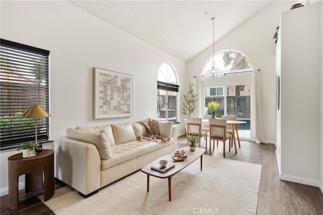 living area with high vaulted ceiling, a wealth of natural light, baseboards, and wood finished floors