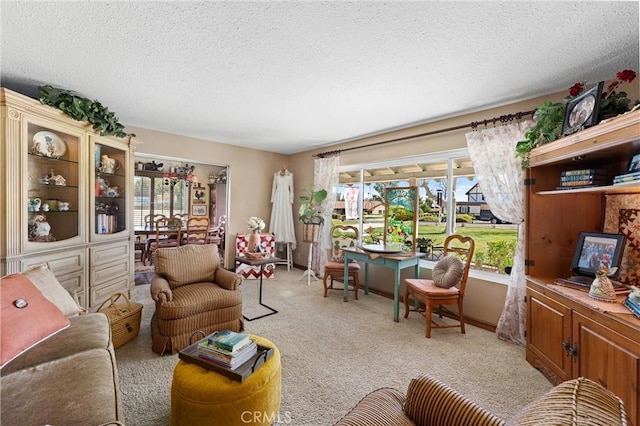 living area featuring a textured ceiling, baseboards, and light colored carpet