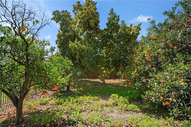 view of landscape