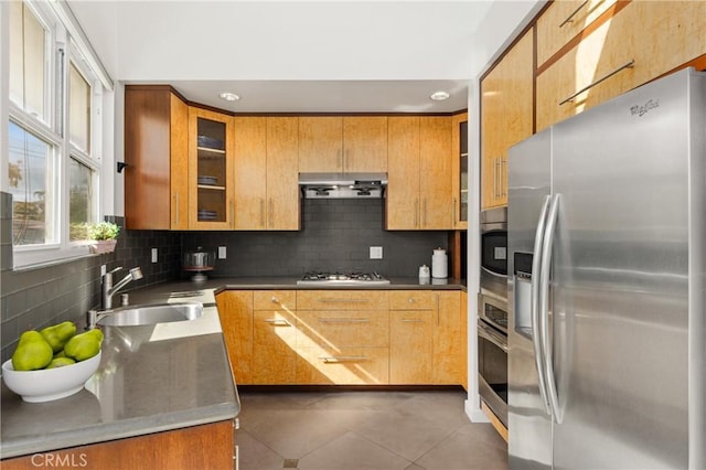 kitchen with appliances with stainless steel finishes, backsplash, a sink, and range hood