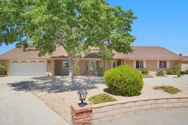 ranch-style home featuring a garage, concrete driveway, and stucco siding