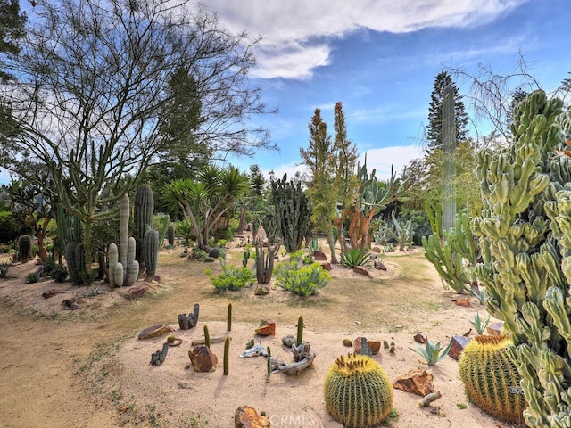 27740 Via Sarasate, Mission Viejo, CA 92692 - view of yard