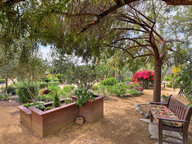 27740 Via Sarasate, Mission Viejo, CA 92692 - view of yard featuring a garden