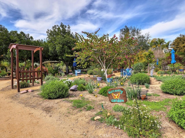 27740 Via Sarasate, Mission Viejo, CA 92692 - view of yard