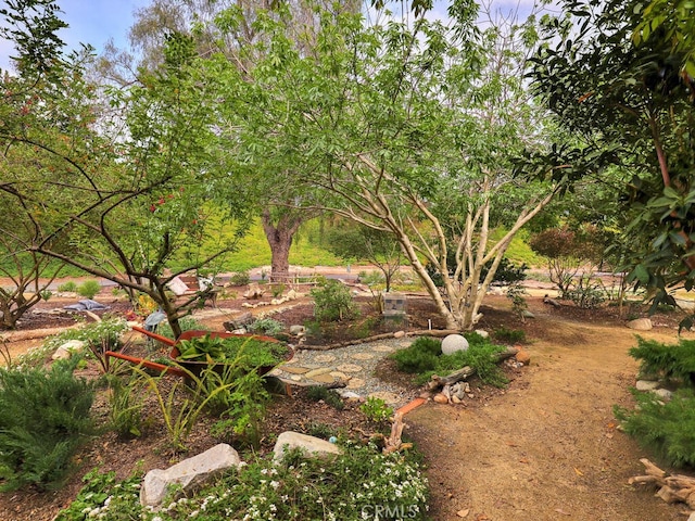 27740 Via Sarasate, Mission Viejo, CA 92692 - view of yard