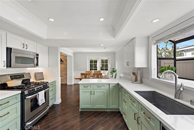 kitchen featuring stainless steel appliances, a tray ceiling, green cabinetry, and a sink