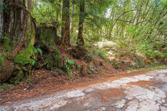 Listing photo 3 for 6185 Austin Creek Rd, Cazadero CA 95421