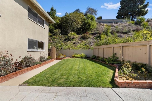 view of yard featuring a fenced backyard