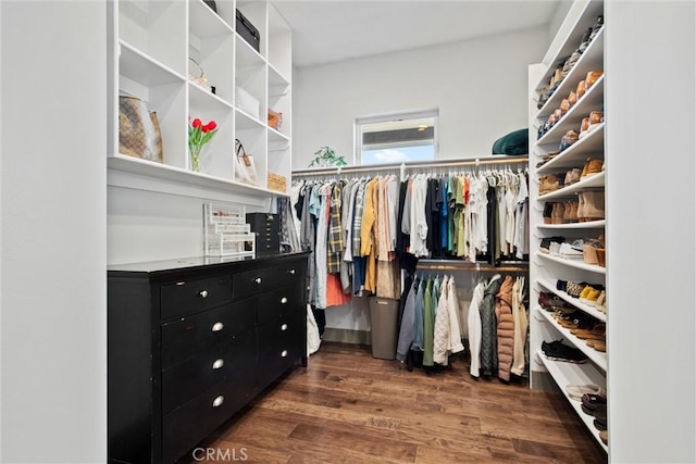 walk in closet featuring wood finished floors