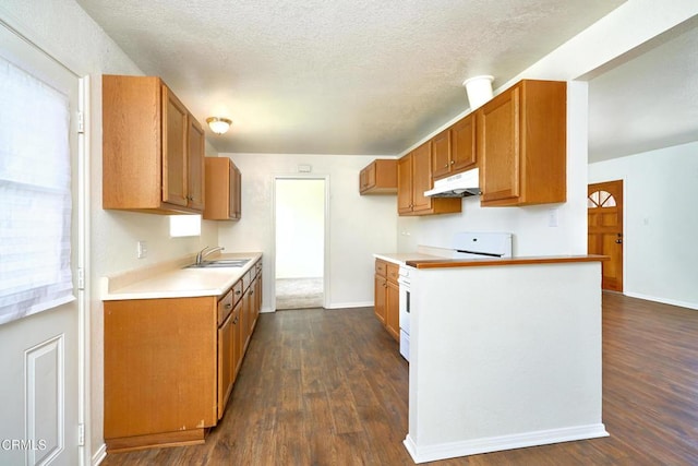 kitchen with electric stove, dark wood-style flooring, a sink, under cabinet range hood, and baseboards