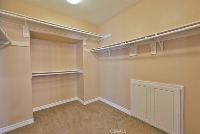 walk in closet with carpet flooring