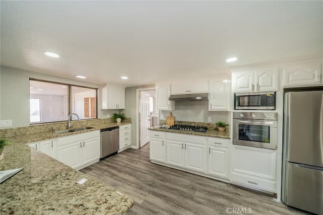 kitchen with appliances with stainless steel finishes, a sink, under cabinet range hood, and light stone countertops