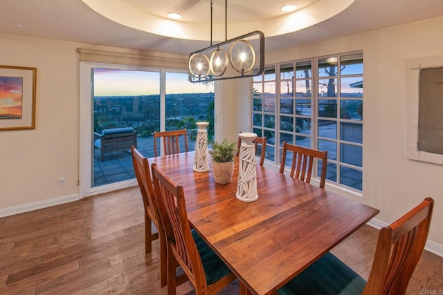 dining area with wood finished floors, a raised ceiling, and baseboards