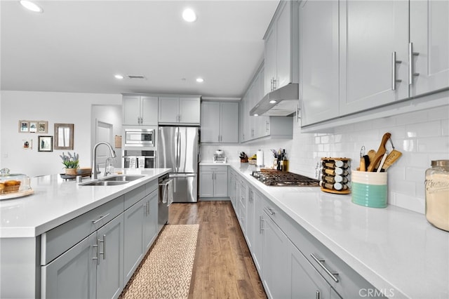 kitchen with gray cabinetry, stainless steel appliances, a sink, and under cabinet range hood