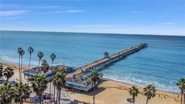 309 W Avenida Palizada, San Clemente, CA 92672 - water view with a beach view
