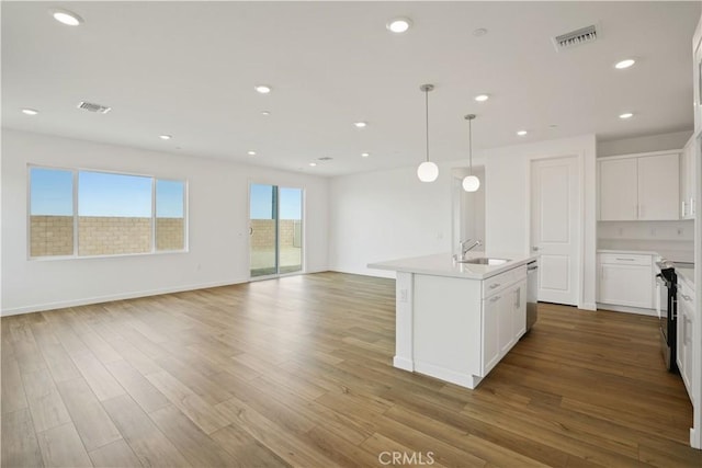 kitchen featuring stainless steel appliances, open floor plan, a sink, and wood finished floors